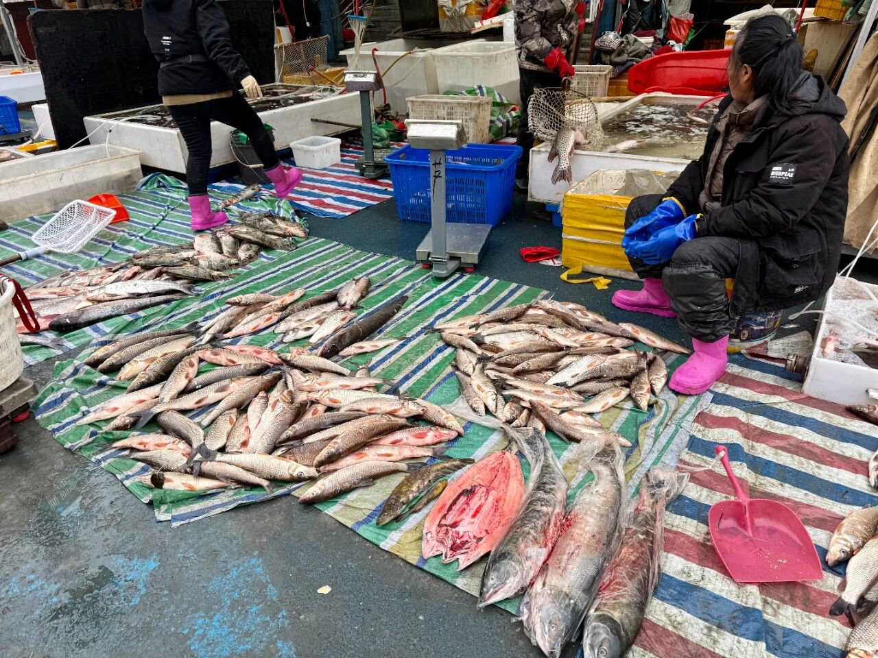 微信图片_2025-11-03_101906_751.jpg 微信图片_2025-11-03_101906_751.jpg