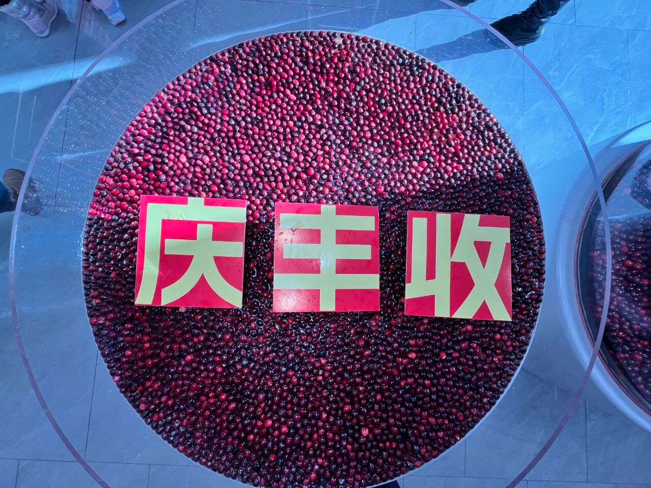 微信图片_2025-09-19_095047_075.jpg